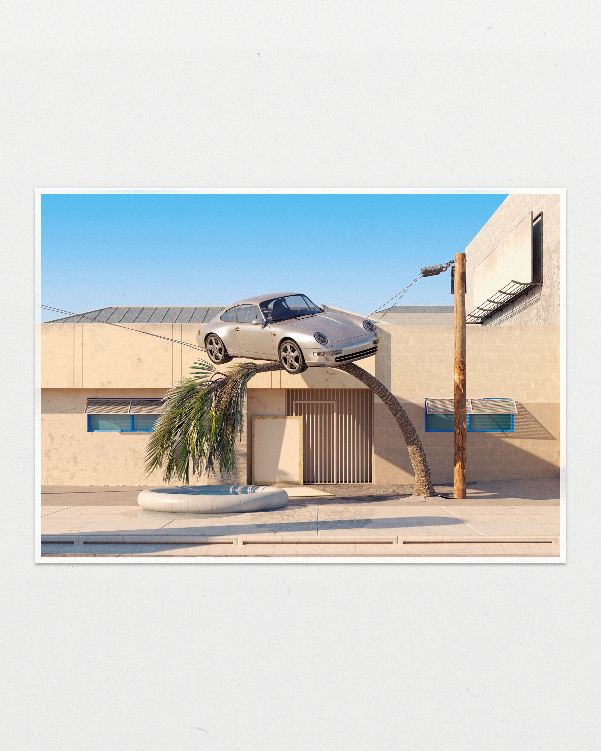 Bent Palm Tree