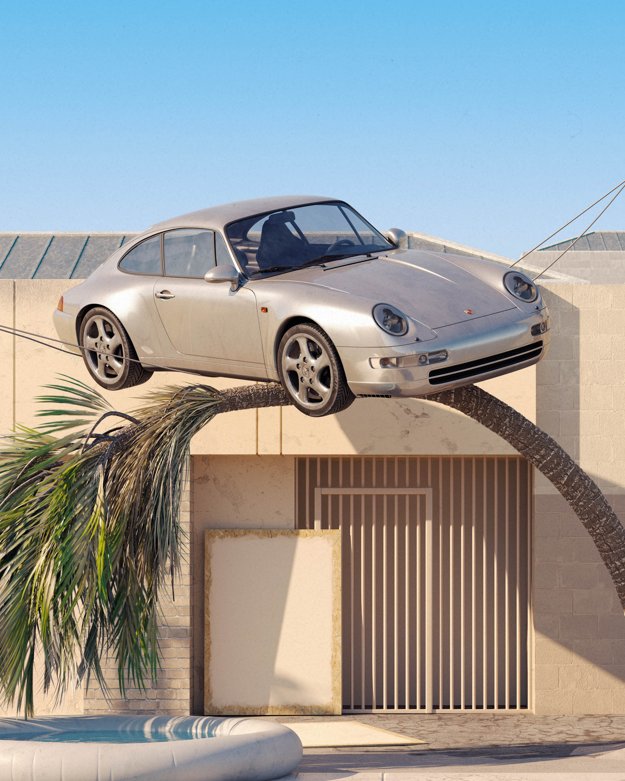 Bent Palm Tree